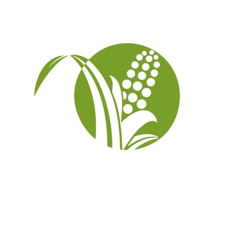 borcelle